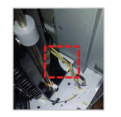 images/2/2018/04/zqFJHTffRV0fr4N41ZqzR4XsVXVJjv.png